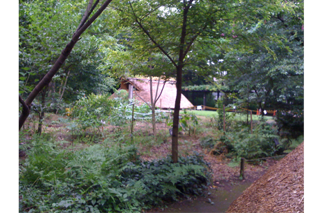 a0131025_1157408.jpg
