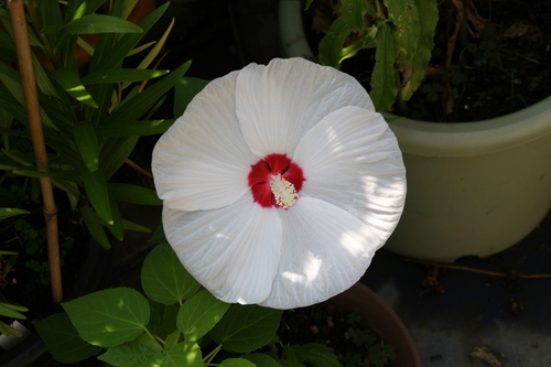 e0033229_2121639.jpg