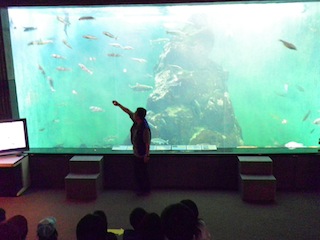 b0047734_2153191.jpg
