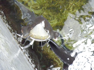 b0047734_2153273.jpg