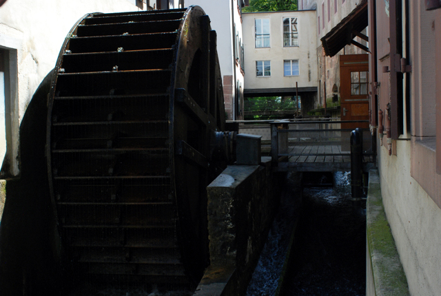 d0176534_41764.jpg