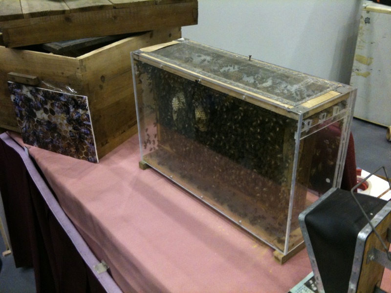 e0191842_1511324.jpg
