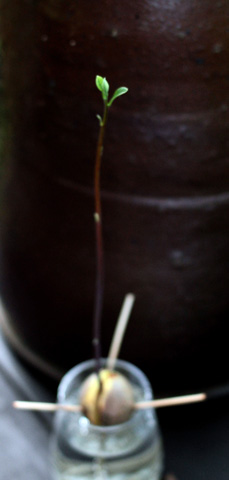 c0214345_7532694.jpg