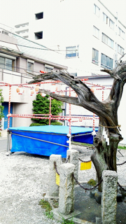 f0179947_214088.jpg