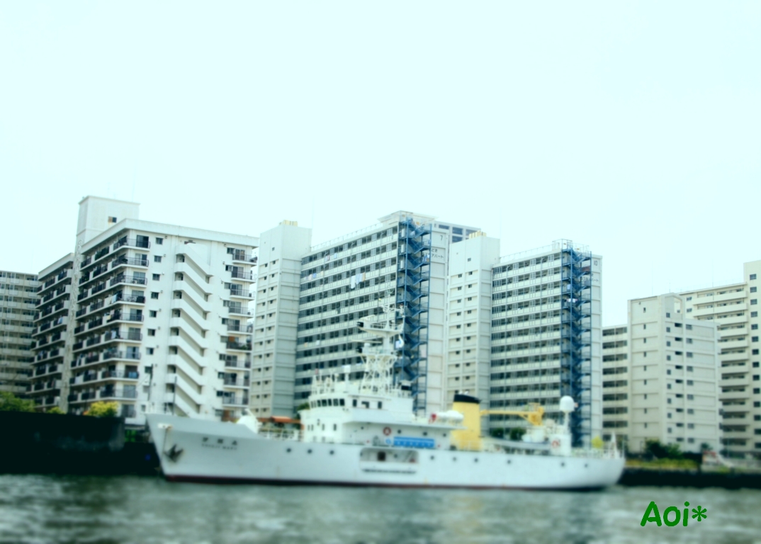 c0220249_17221780.jpg