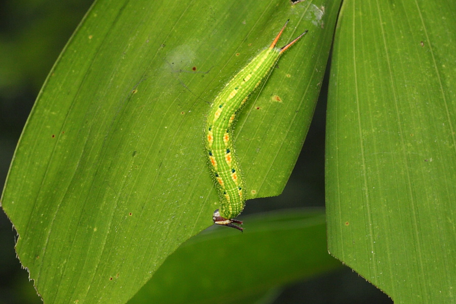 a0094850_12505167.jpg