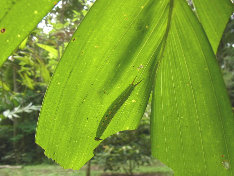 a0094850_12522124.jpg