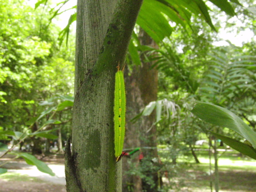 a0094850_12524482.jpg