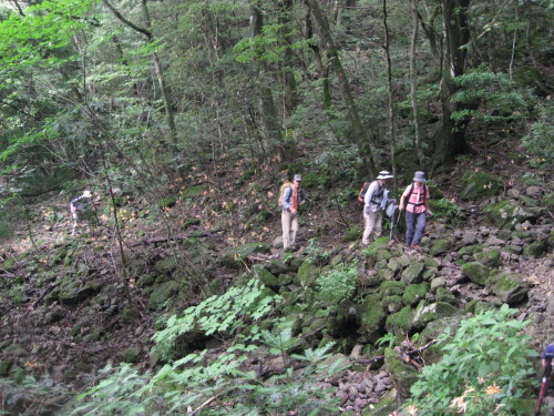 c0179351_21215996.jpg