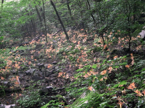 c0179351_21225298.jpg