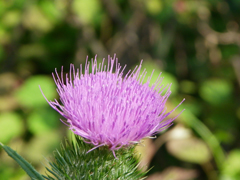 e0098256_0135.jpg