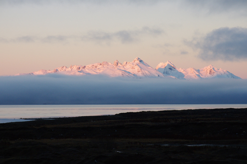 c0103558_10355951.jpg