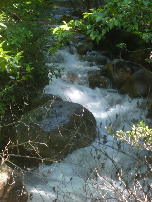 a0063364_23204181.jpg