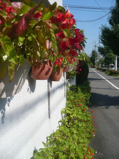 a0063364_2333481.jpg