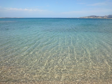 c0102268_2251812.jpg