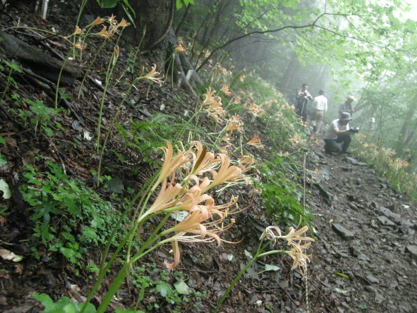 c0042869_17124038.jpg