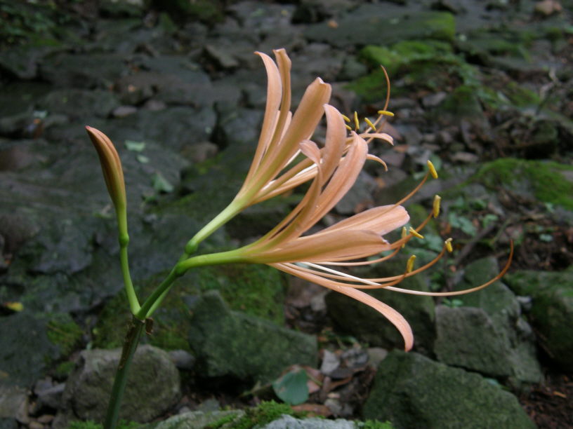 c0042869_17211386.jpg
