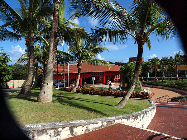 f0052269_8285362.jpg