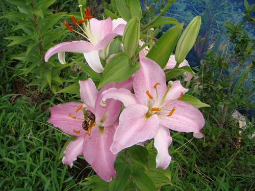 f0231573_22361025.jpg