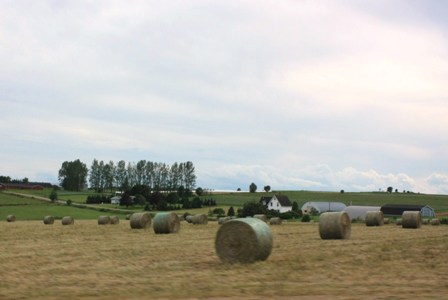 a0100975_102596.jpg