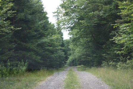 a0100975_8355031.jpg