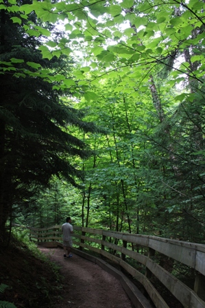 a0100975_8413525.jpg