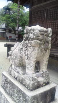 f0054677_8201983.jpg