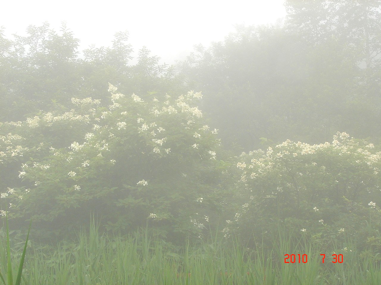 f0104277_20563054.jpg
