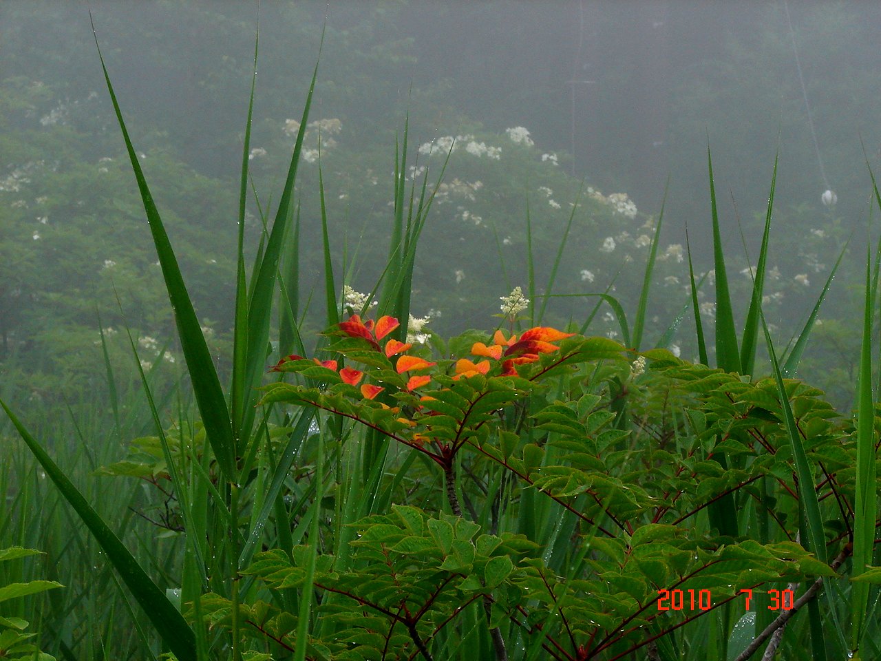 f0104277_2111345.jpg