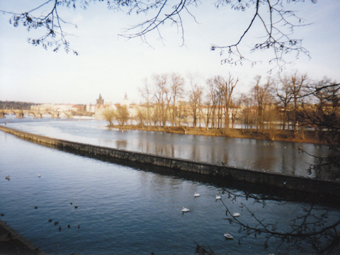 a0106978_220125.jpg
