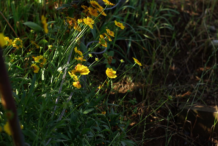 b0120979_1583588.jpg