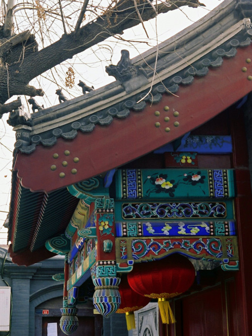 b0178479_1032923.jpg