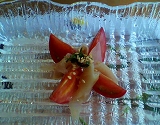 f0215580_1042271.jpg