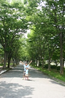 c0057781_2312153.jpg