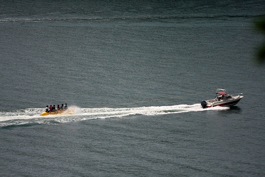 e0190885_1741518.jpg