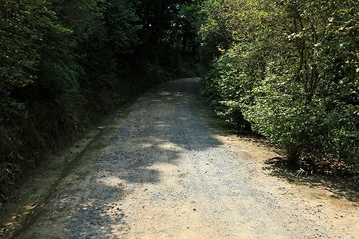 e0190885_1745483.jpg