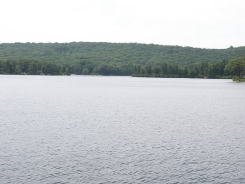 f0024887_10592456.jpg