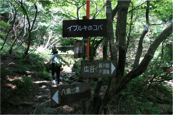 c0171790_23273316.gif
