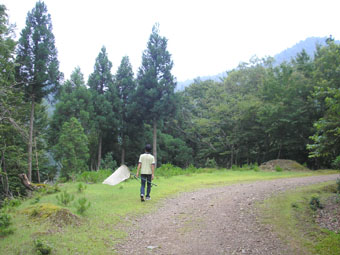 e0083097_2305422.jpg