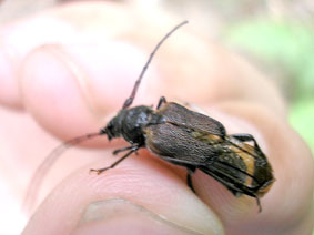 e0083097_231055.jpg