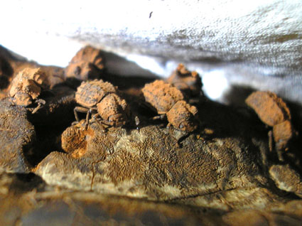e0083097_2314183.jpg