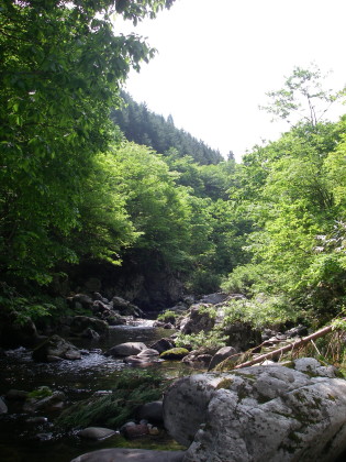 a0104199_18421946.jpg