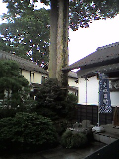 a0065800_19131534.jpg