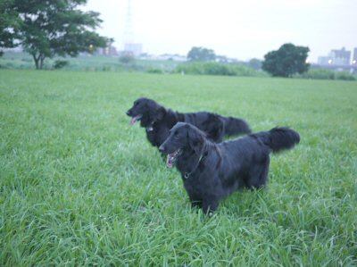 c0050400_0194710.jpg