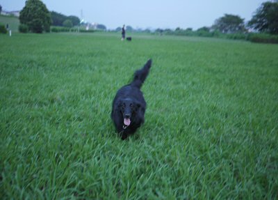 c0050400_022724.jpg
