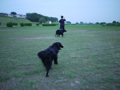 c0050400_0324186.jpg