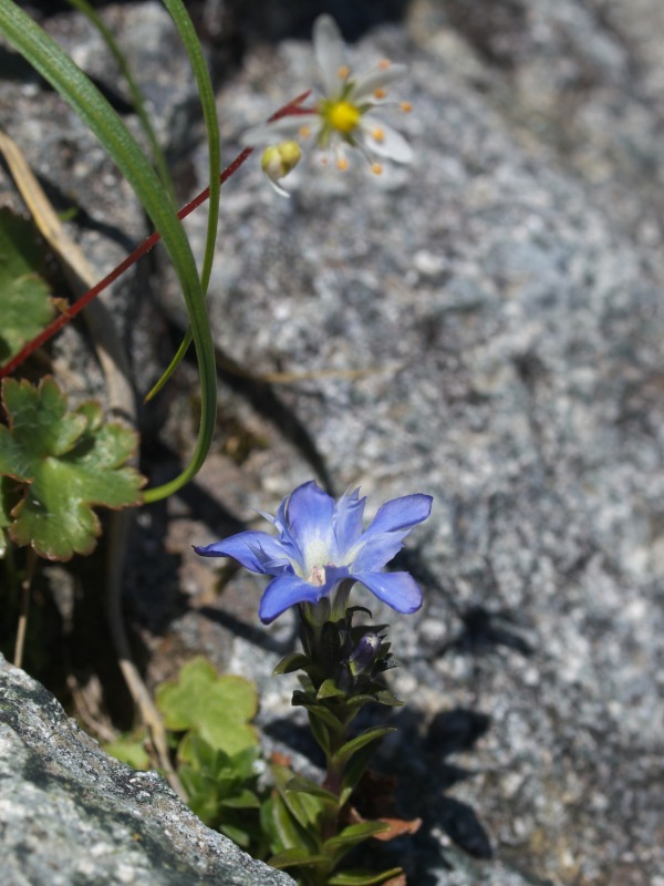f0224100_654561.jpg