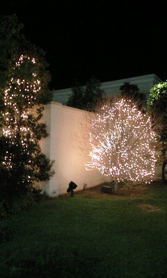 b0083902_16503696.jpg