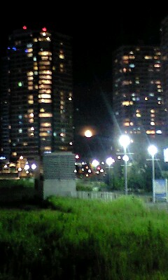 b0083902_171118.jpg
