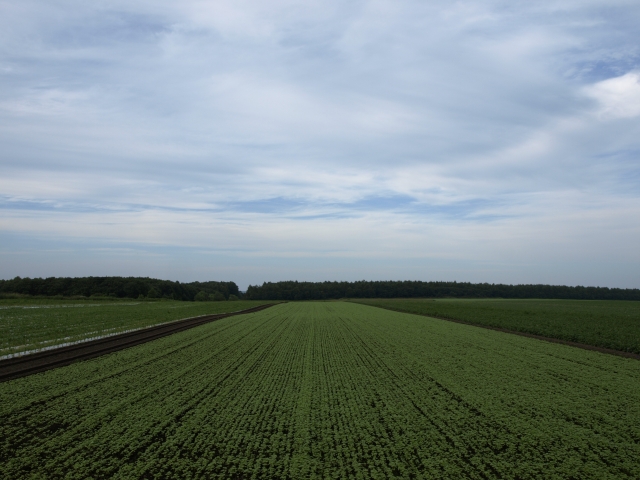 f0020302_214490.jpg